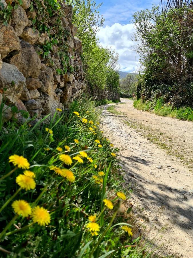 Acogedora Y Romantica Casita En La Sierra Garganta De Los Montes Exterior foto