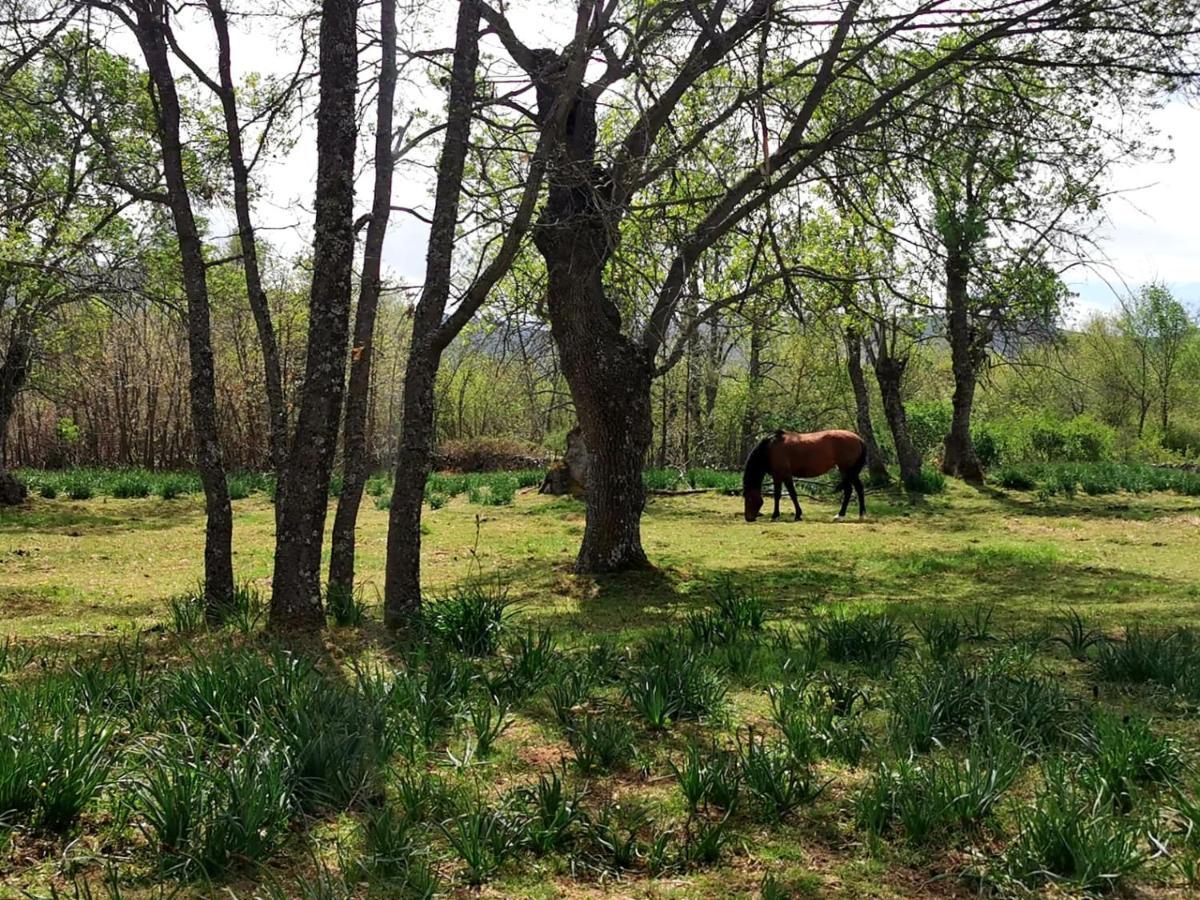 Acogedora Y Romantica Casita En La Sierra Garganta De Los Montes Exterior foto